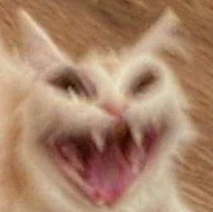 Meet your Posher, Talia